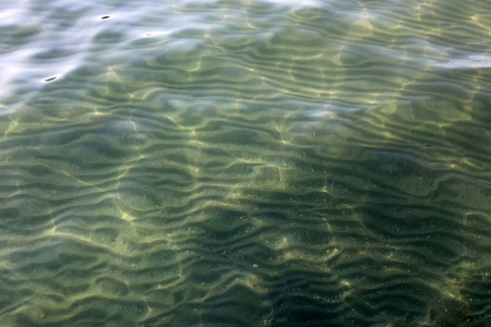 浅海水域的水色及反射