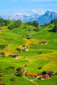 田园诗般的瑞士乡村景观，绿色的草地和阿尔卑斯山的山峰，瑞士的广东人