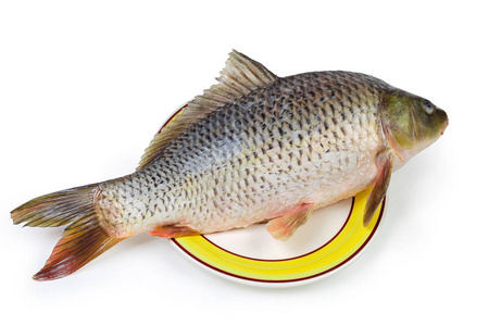 去内脏鱼在白色背景的一个大盘子里,用去皮的鳞片生鱼片做菜照片