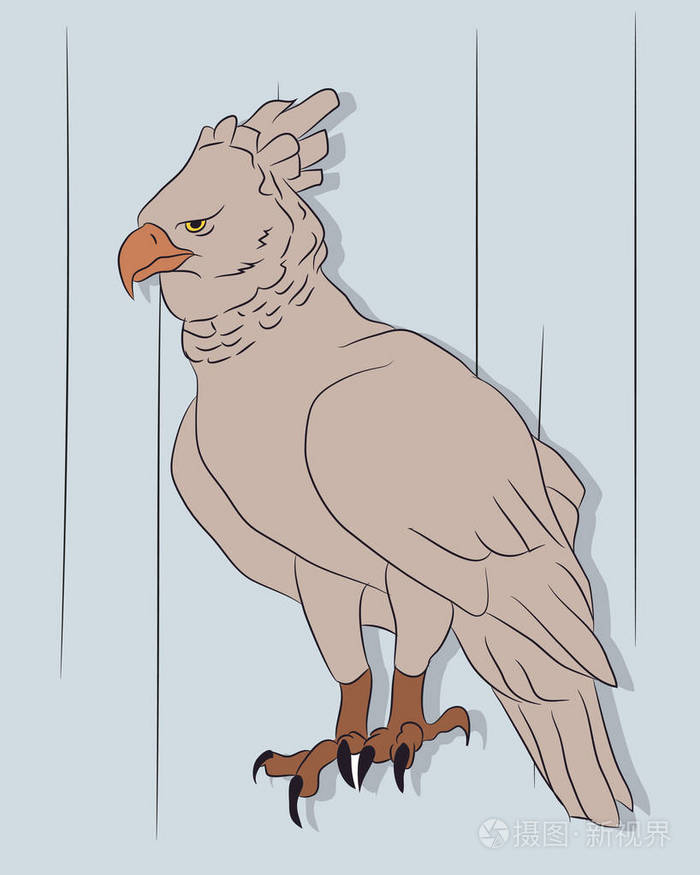 鹰在彩色背景上绘制彩色矢量