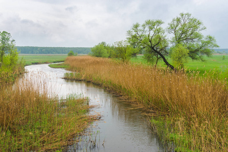 乌克兰波尔塔夫斯克州梅拉河的春季景观