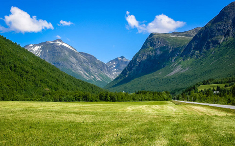 去挪威旅行。 山中的森林