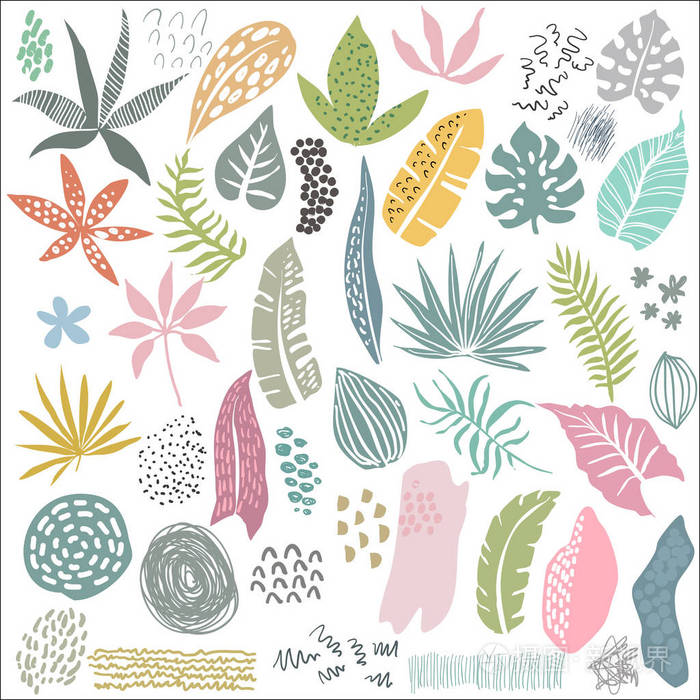 热带植物和抽象纹理的矢量集合