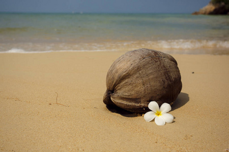 椰子在热带海滩