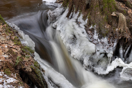 一条小河流在树木之间流动，水的程度很小。 河床穿过落叶林。 冬天的季节。