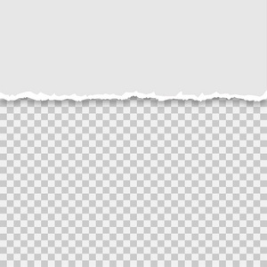 在一张孤立的背景矢量插图上撕下半张灰纸照片