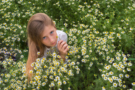 一个美丽的女孩的肖像与蓝色的眼睛在白色礼服坐在雏菊花草甸