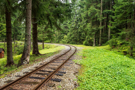 斯洛伐克乌拉瓦州潮湿的绿色森林中带着新鲜草地的波浪状原木铁轨
