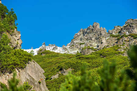 斯洛伐克塔特拉山在夏天。 绿坡，山峰覆盖着雪。 晴天。