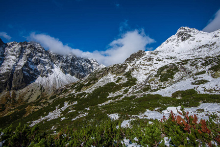 斯洛伐克塔特拉山在夏天。 绿坡，山峰覆盖着雪。 晴天。