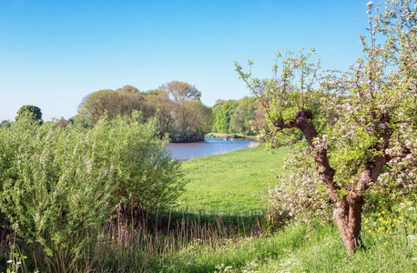 荷兰德贝图韦水果区的美丽河流景观。
