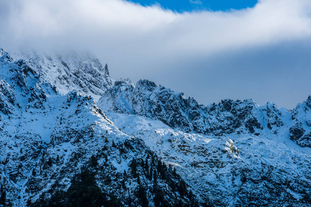 斯洛伐克塔特拉山在夏天。 绿坡，山峰覆盖着雪。 晴天。