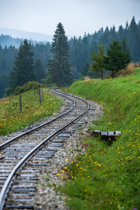 斯洛伐克乌拉瓦州潮湿的绿色森林中带着新鲜草地的波浪状原木铁轨