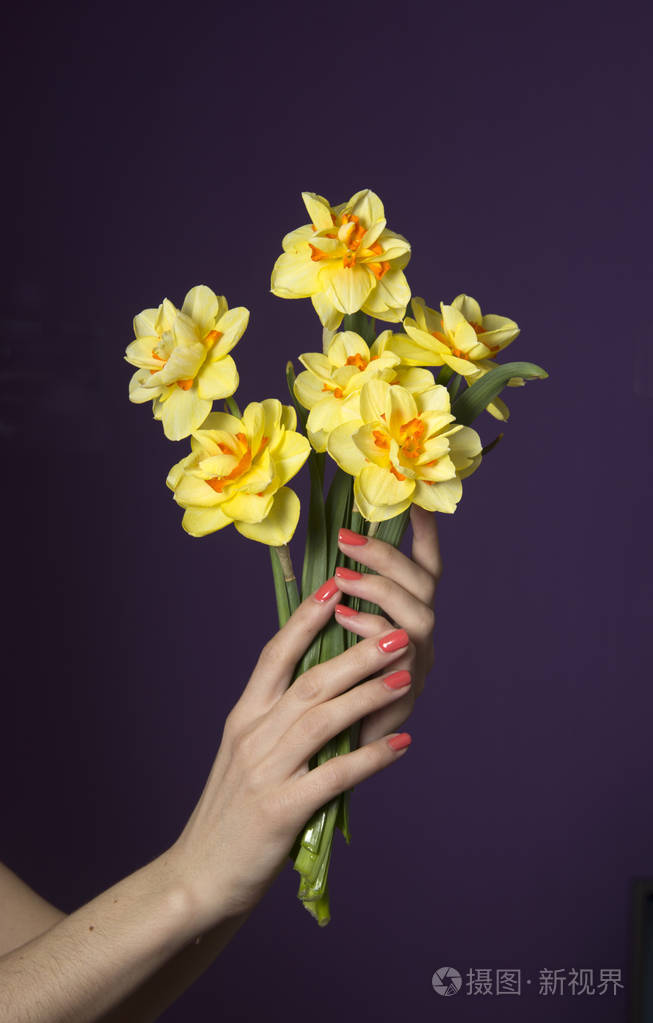 春天的花水仙. 女性假期照片-正版商用图片180e5j-摄图新视界