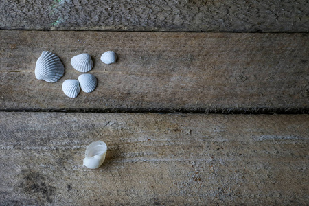 贝壳和石头放在木桌上。