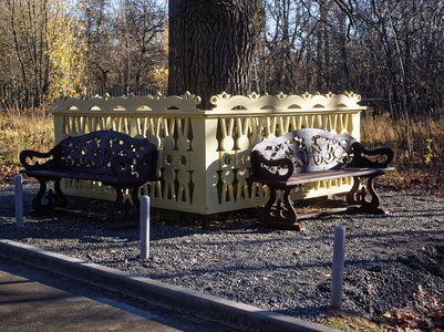 莫斯科秋天公园里漂亮的木凳