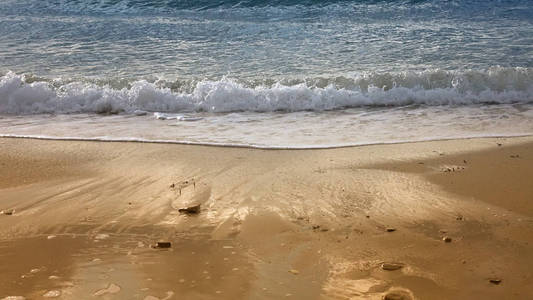 美丽的海滩，沙滩上有波浪泡沫