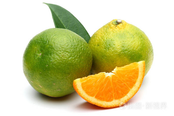 绿橘叶和片分离在白色背景