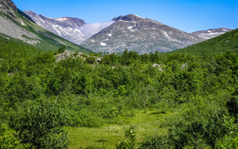 去挪威旅行。 山中的森林