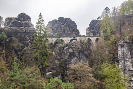 德国德累斯顿。萨克森公园瑞士。悬崖位于德累斯顿以南的皮尔恩镇附近，离拉登不远。雾中的岩石。美丽的风景。山区旅行。