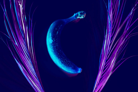 霓虹灯紫色概念艺术棕榈叶香蕉