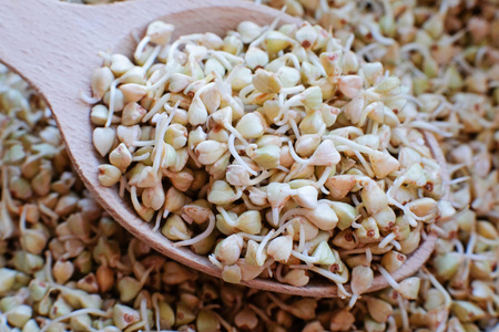 荞麦芽中的有用食物照片