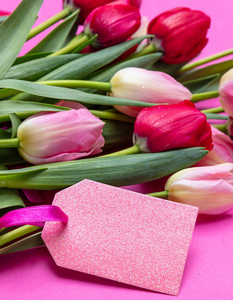 母亲妇女节的概念。 郁金香花束和空白标签在明亮的粉红色背景复制空间特写视图。