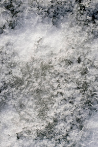 雪背景下的黑色地面春天开始