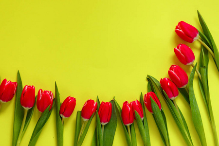 彩色郁金香可爱的郁金香花组成。 情人节或母亲节。 国际妇女日3月8日。