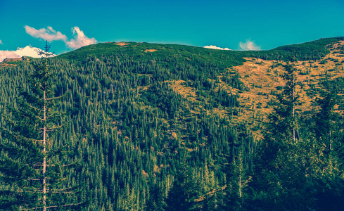 秋天美丽的山景。 Instagram老式电影过滤器