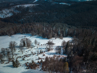 美丽的空中无人机全景山地景观在寒冷的冬天。 喀尔巴阡山上覆盖着雪的冰冻树木。 自然景观景观。 欧洲积极旅游的旅游目的地