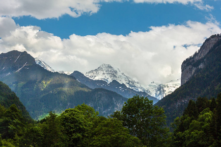 夏季阿尔卑斯山的山景，山坡上有冷杉林，在遥远的瑞士有雪覆盖的岩石顶部。