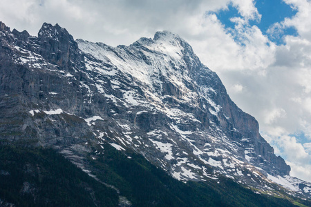 夏季阿尔卑斯山的山景，山坡上有冷杉林，瑞士山顶上覆盖着雪。