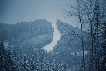 覆盖着雪的山林公园里的滑雪道。 喀尔巴阡山寒冷的冬日