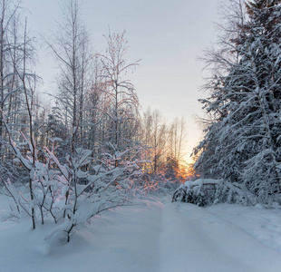 冬天森林里的日落。 日落时的河谷。 列宁格勒地区。 俄罗斯
