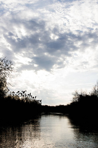 早春，多瑙河两岸绿色草地上的树木被淹了。 多瑙河自然河流景观木屋和船。 多瑙河上的春天。