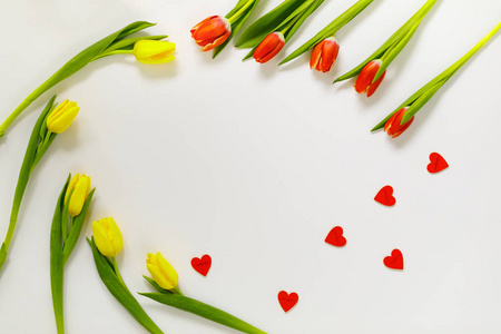 彩色郁金香可爱的郁金香花组成。 情人节或母亲节。 国际妇女日3月8日。