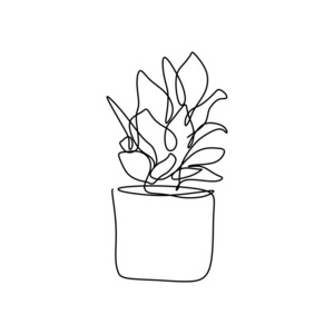 植物在锅内,一线绘图矢量插图,连续笔画极简设计的墙壁装饰隔离在白色