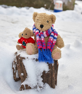 两只泰迪熊坐在树墩冬日里拥抱