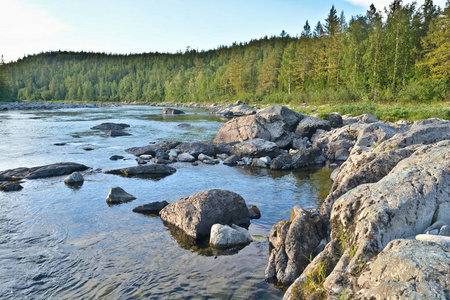 夏季景观北河。 俄罗斯极地乌拉尔的储量。