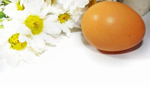 白色背景下的蛋和雏菊