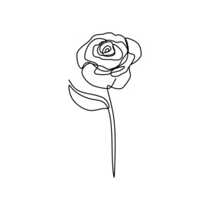 玫瑰花连线艺术绘画插图