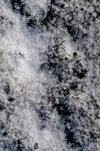 雪背景下的黑色地面春天开始