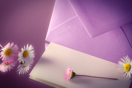 带雏菊的信封和信