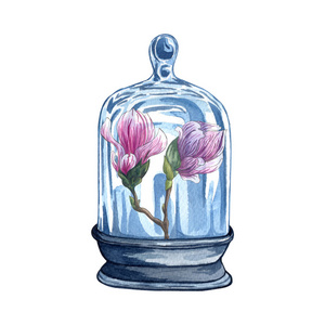收集花艺馆水彩玻璃瓶与花内手绘白色背景隔离。 带有粉红色玉兰花的水彩罐子。