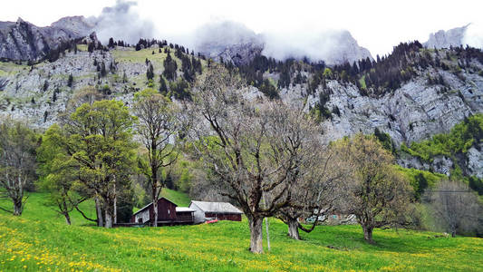 瑞士圣加伦州丘尔弗先恩山脉南坡的高山养牛场和传统建筑