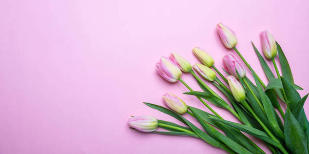 春季复活节的概念。 粉红色郁金香花束粉红色粉彩背景顶部视图复制空间