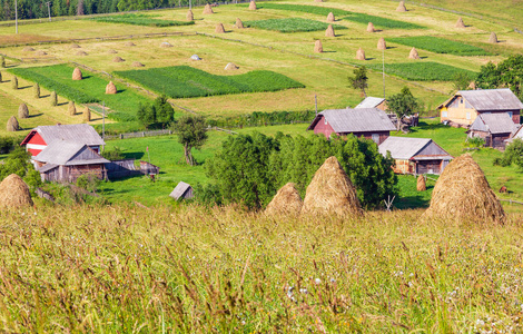 夏季山村郊区，干草堆在田野喀尔巴阡乌克兰