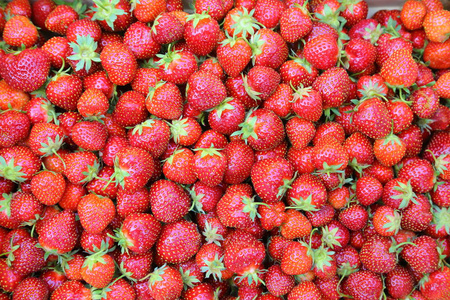 背景是新鲜多汁的草莓。 上面的风景。