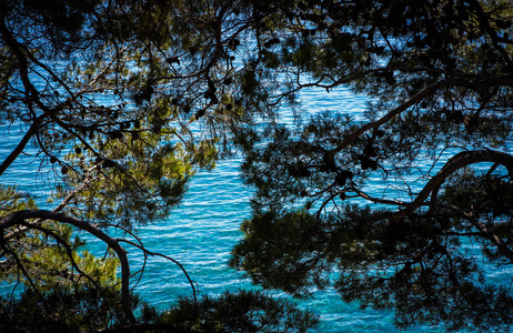 在克罗地亚充满活力的亚得里亚海的蓝色海水。覆盖着地中海表面景色的森林在明亮的热带阳光下闪闪发光。暑假旅游目的地是游轮